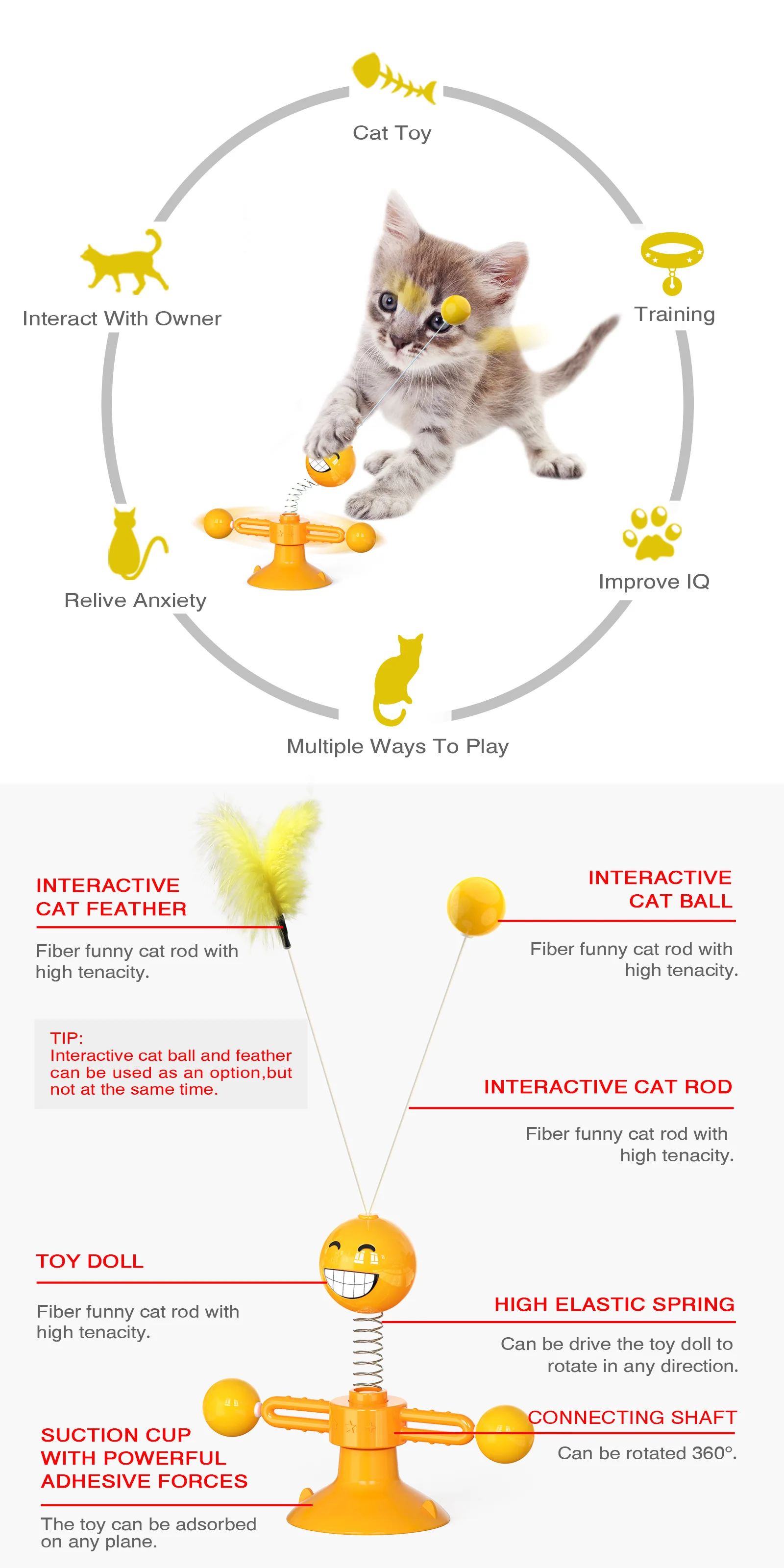 Gato jugando con ventosa y resorte