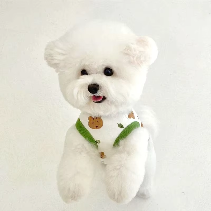 Chaleco verano para perros con estampado de oso – Tallas XS a XL