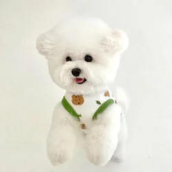 Chaleco verano para perros con estampado de oso – Tallas XS a XL