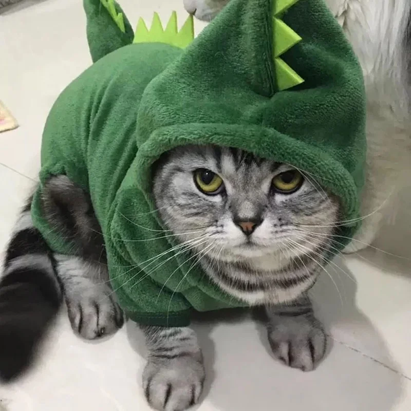 Gato con abrigo invernal gris