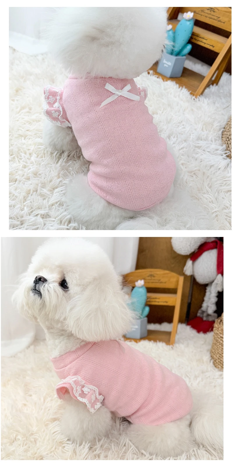 Camiseta transpirable para perro en ambiente exterior, mostrando su uso en paseos de verano