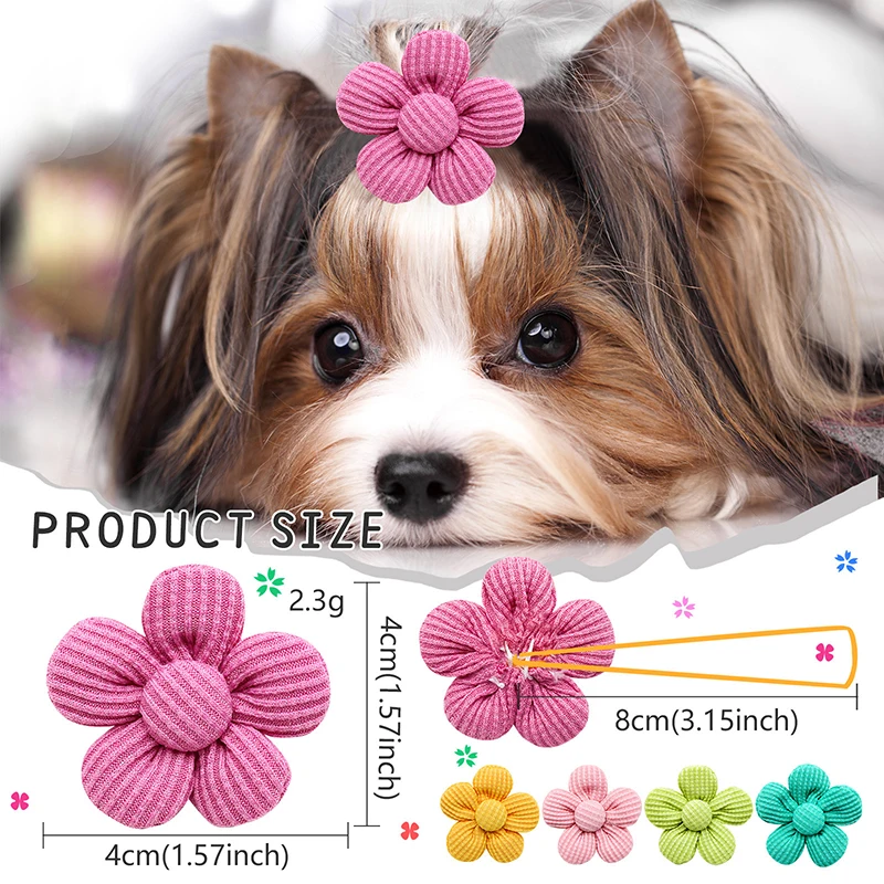 Set de lazos decorativos pawstrip en colores variados