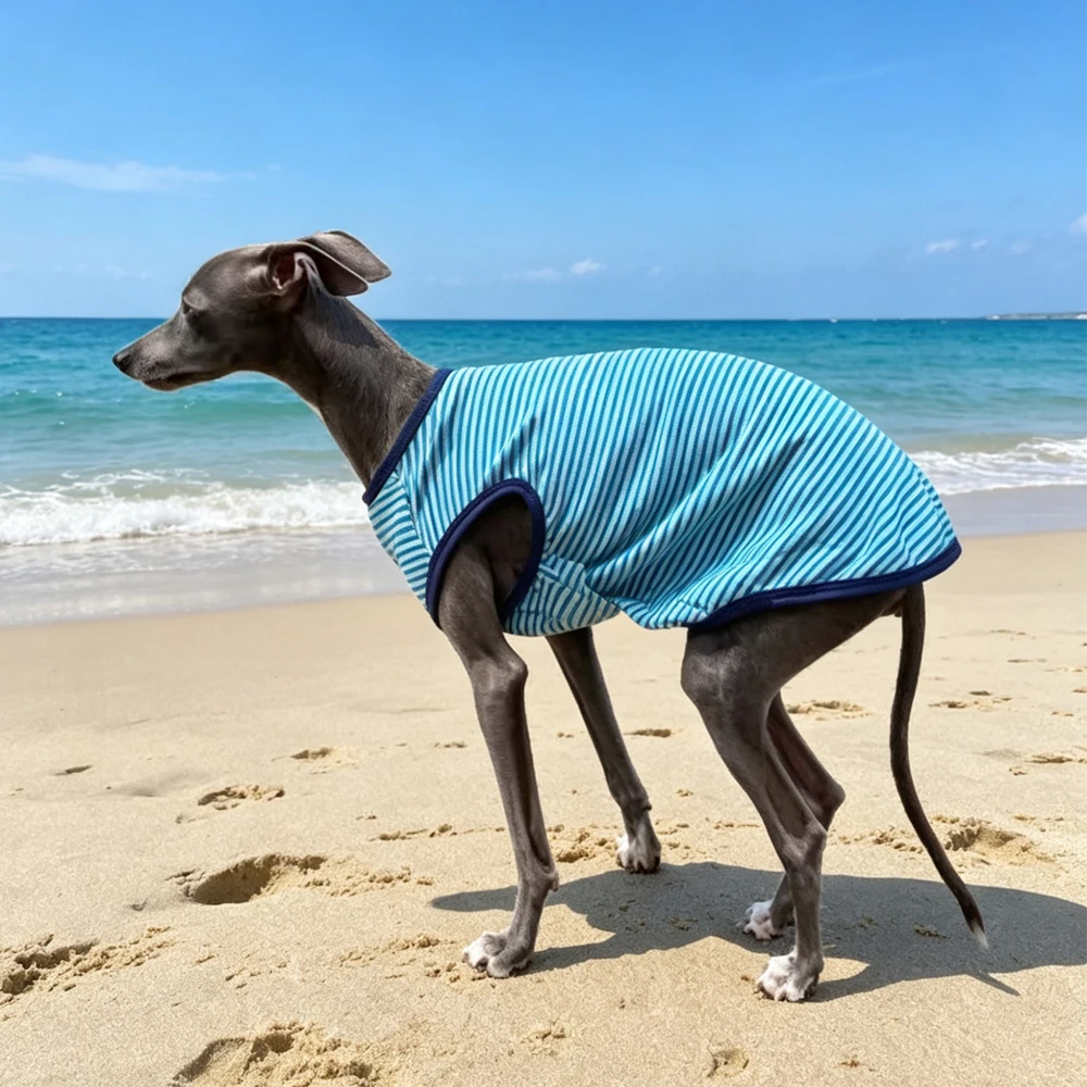 Ropa para perros sin mangas suave y cómoda