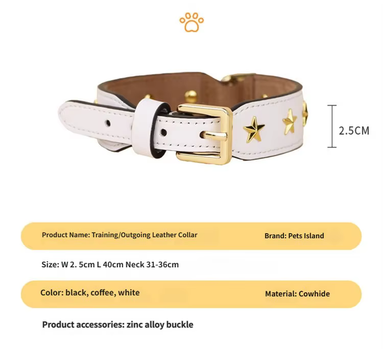Collar de cuero genuino con remaches de estrella dorados