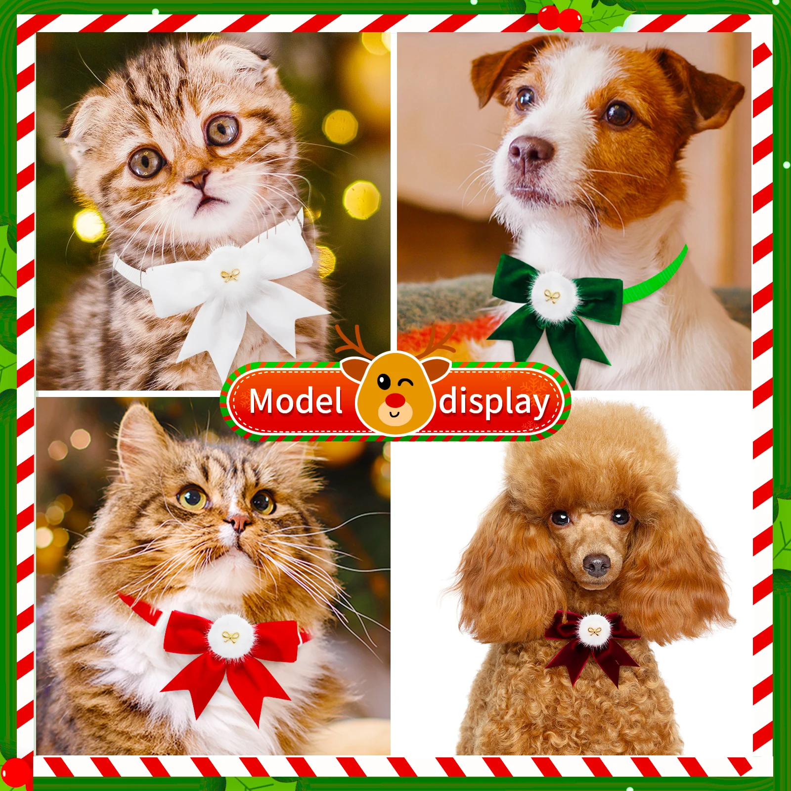 Pajaritas festivas para accesorios de peluquería canina