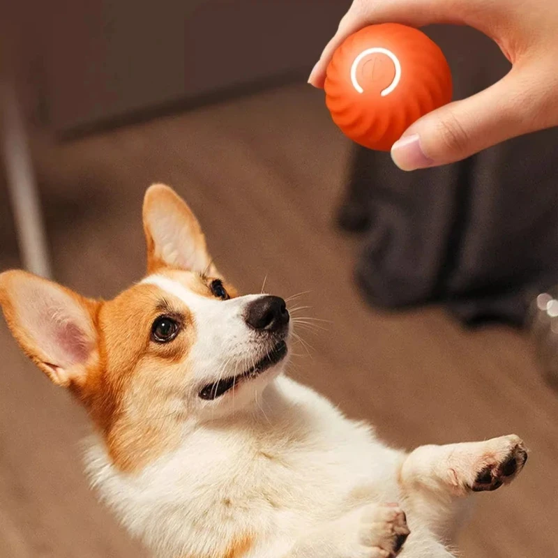 Pelota de salto automática recargable para perros y gatos, juguete eléctrico interior - imagen 4