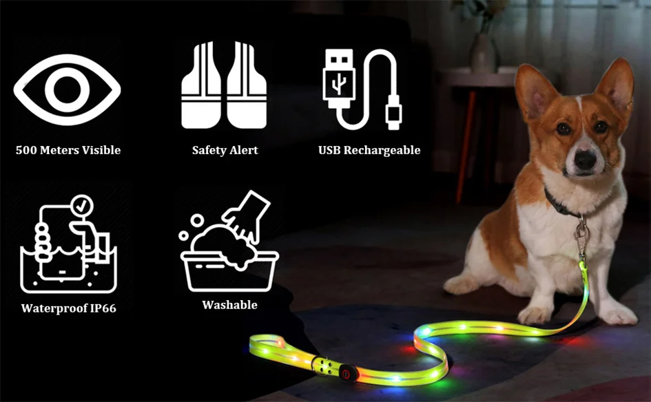 Perro con correa LED para paseos nocturnos