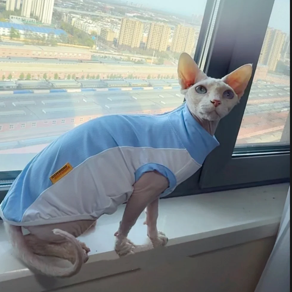 Chaleco transpirable UV de malla azul para Sphynx y perros mini - imagen 3