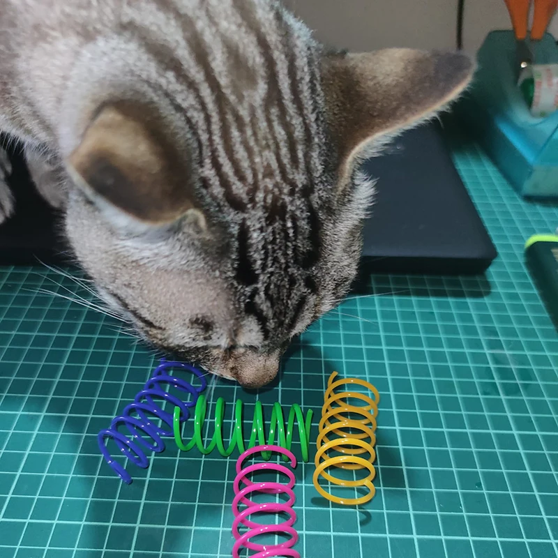 Gato jugando con resorte