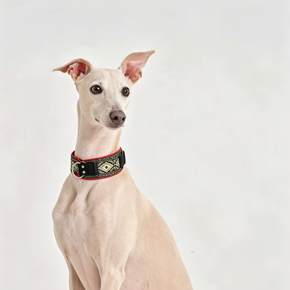 Collar bohemio ajustable para Whippet, diseño étnico robusto - imagen 2