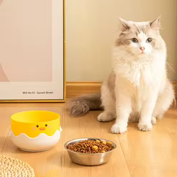Cuenco de acero inoxidable para gatos con forma de huevo