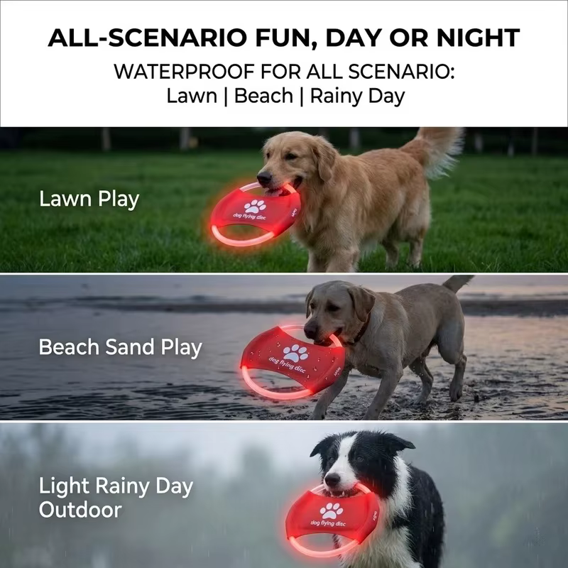 Frisbee luminoso LED recargable para perros pequeños y medianos - imagen 2