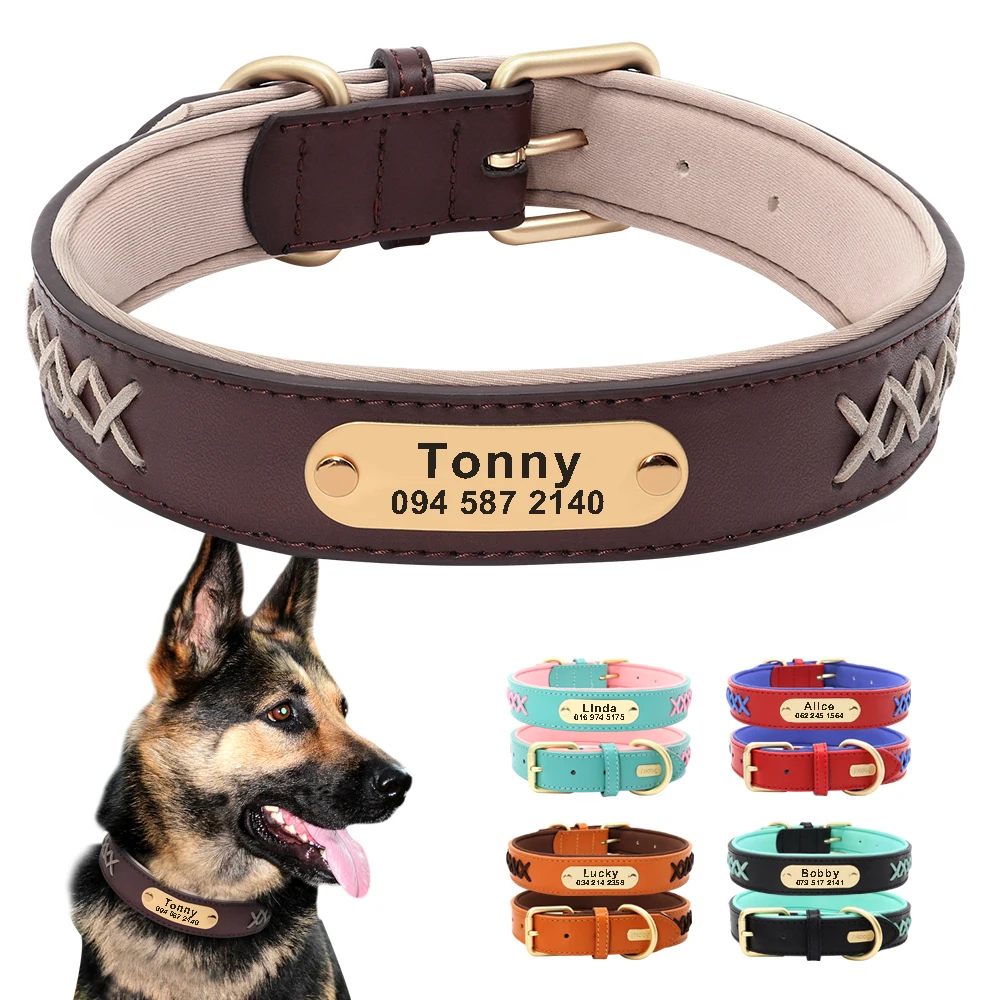 Collar personalizado de identificación para perros grandes Bulldog y Pug