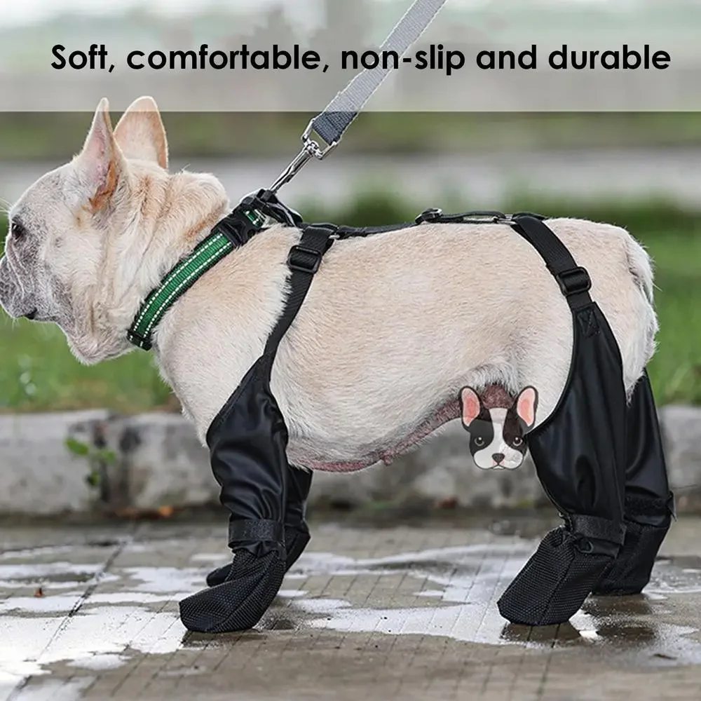 Perro con botas caminando