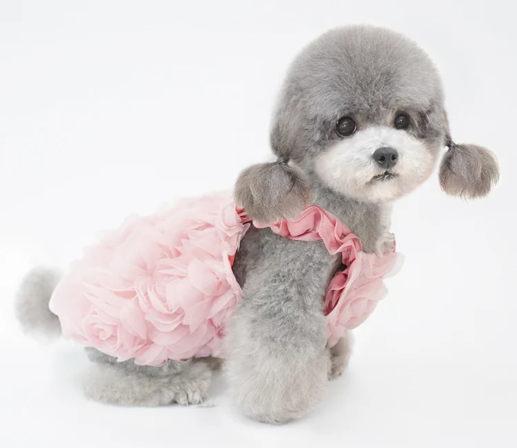 Ropa de primavera para perros pequeños