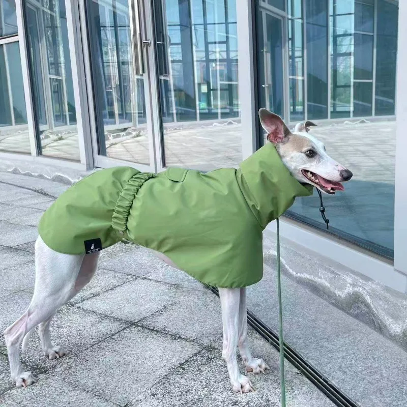 Impermeable para perros Whippet y Galgo, chubasquero cuello ajustable - imagen 3