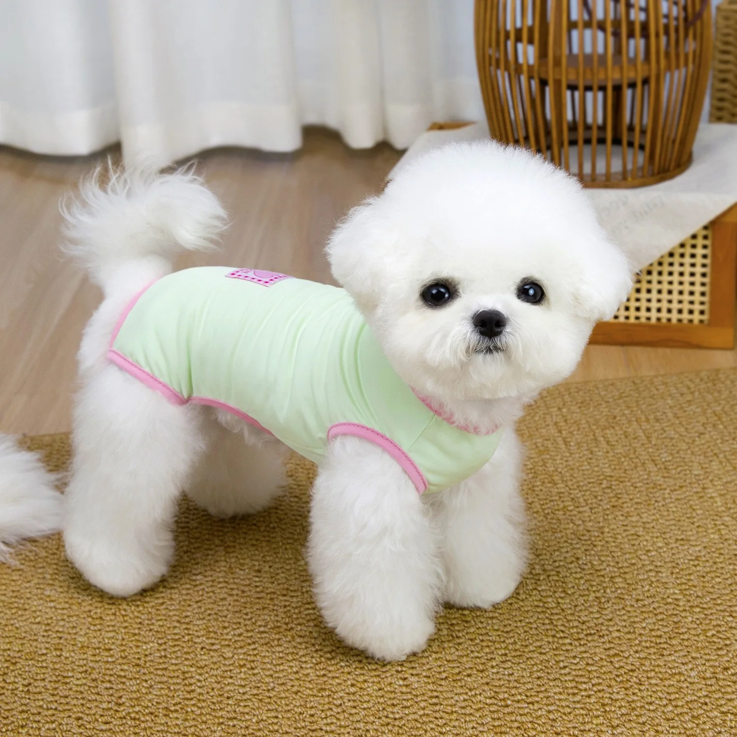 Sudadera ligera transpirable para perros – Ropa de cuatro patas - imagen 2