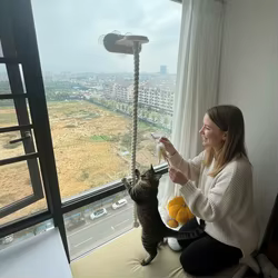 Rascador para gatos de pared con cuerda y nido colgante
