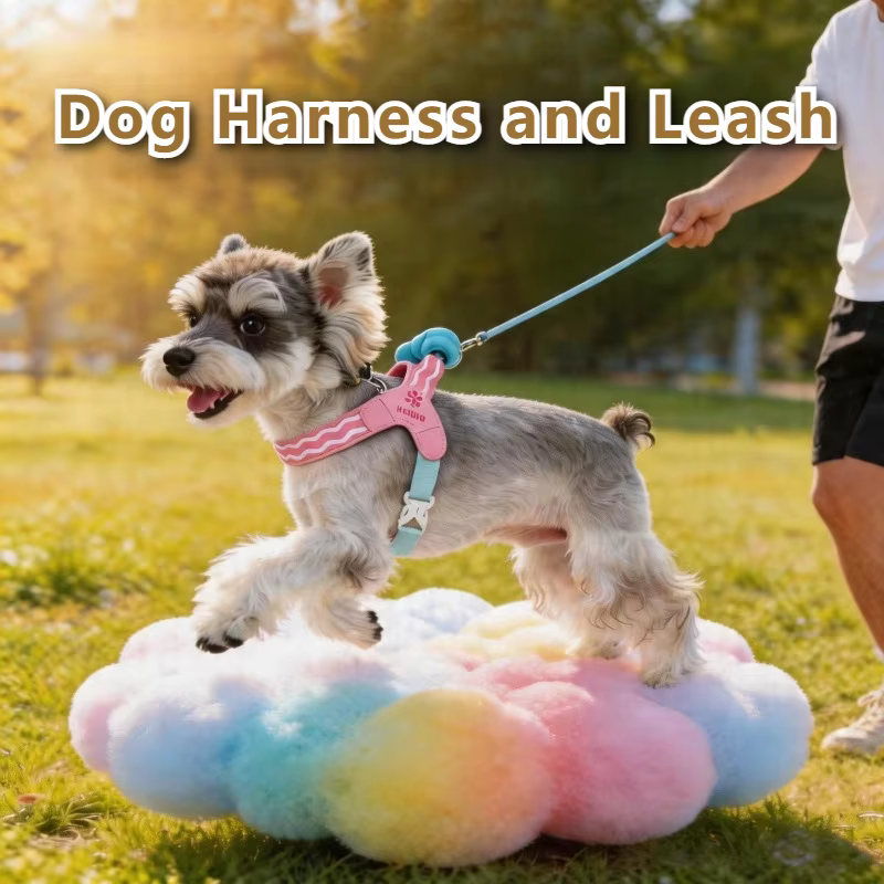 Arnés ajustable acolchado para perros pequeños – Chihuahua y Schnauzer - imagen 5