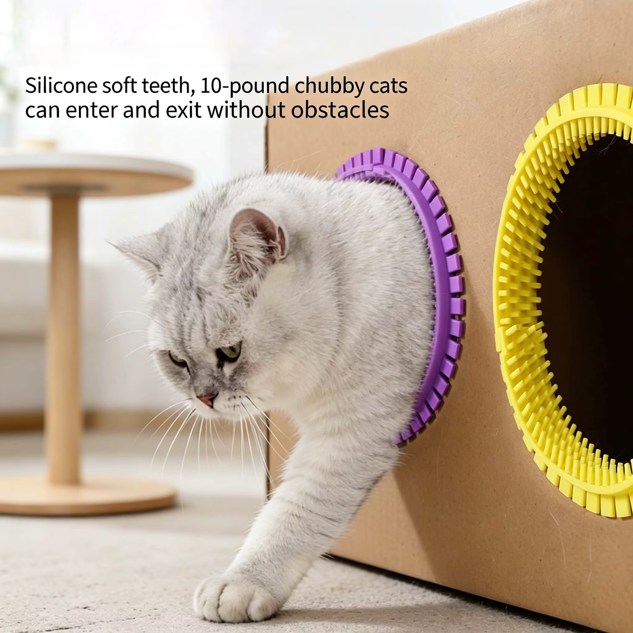Anillo de aseo para gatos en caja DIY