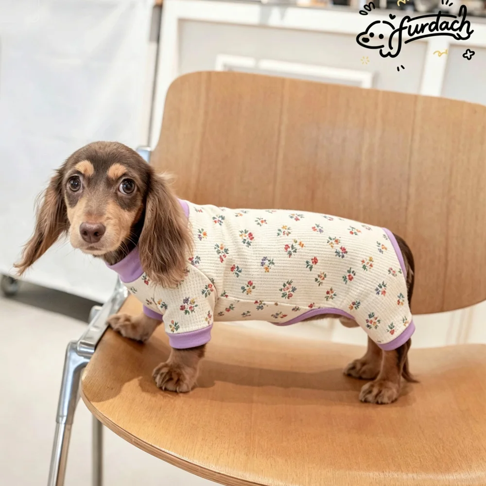 Sudadera suave de algodón para Dachshund miniatura – mono cuatro patas - imagen 2