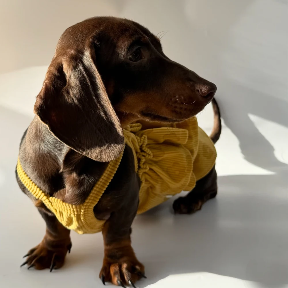 Detalle del tejido tipo waffle del vestido para perro