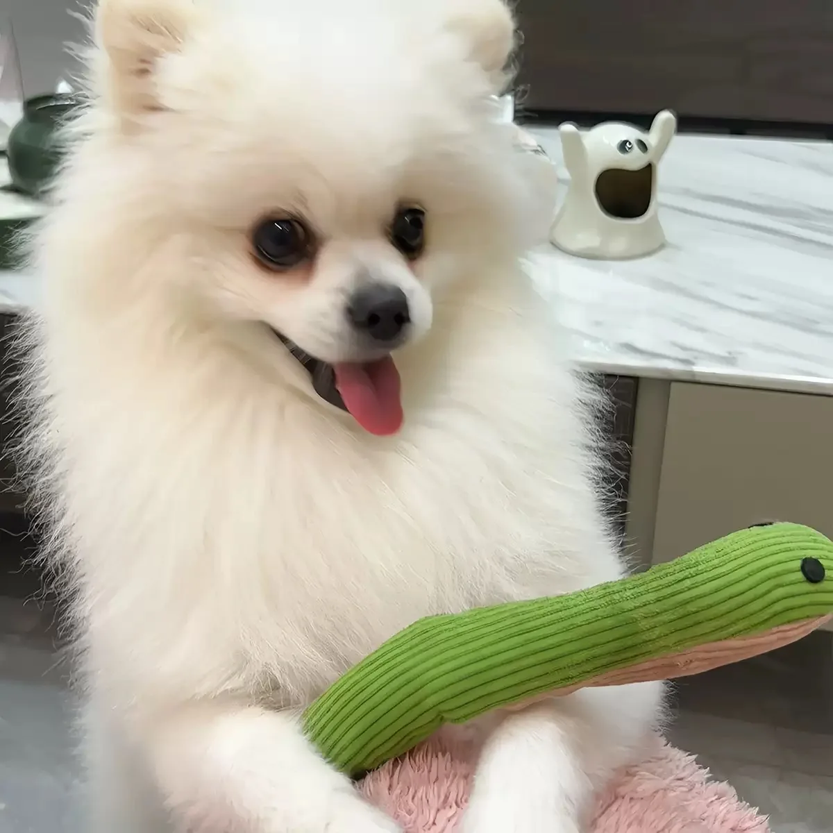 Juguete interactivo de serpiente con sonido para gatos y perros