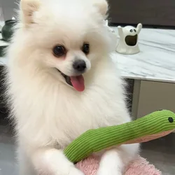 Juguete interactivo de serpiente con sonido para gatos y perros
