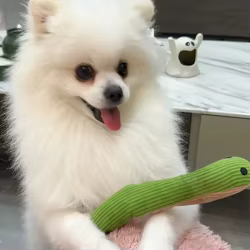 Juguete interactivo de serpiente con sonido para gatos y perros