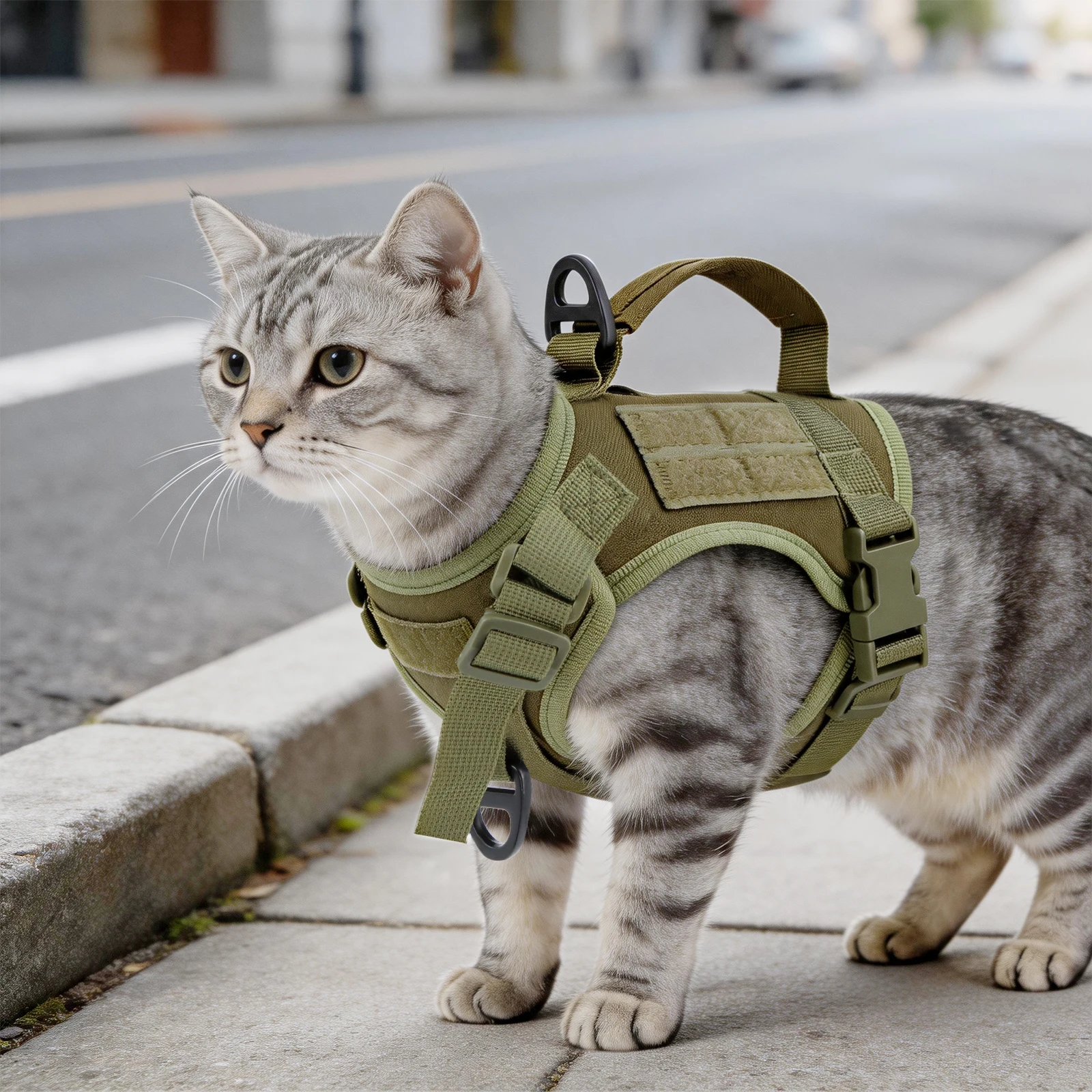 Arnés táctico para gato en uso