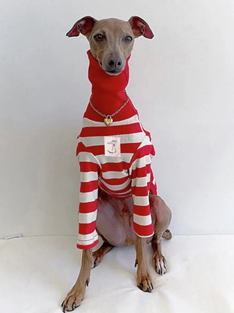 Camisa en dogs