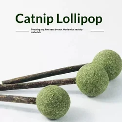 Palitos hierba gatera Silver Vine y bolas de menta para gatos