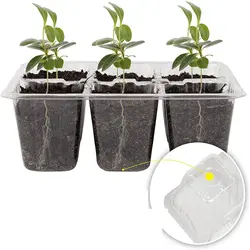 Kit de germinación reutilizable de brotes con bandeja de compartimentos