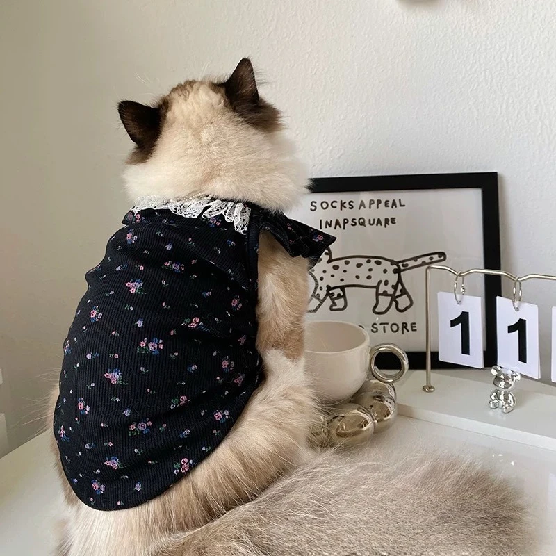 Estilo y coordinación