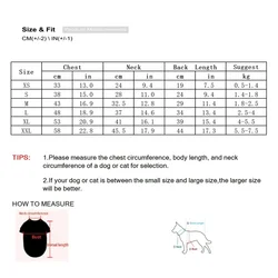 Disfraz de Esqueleto para Perro con Luces LED – Ropa de Halloween para Perro y Gato
