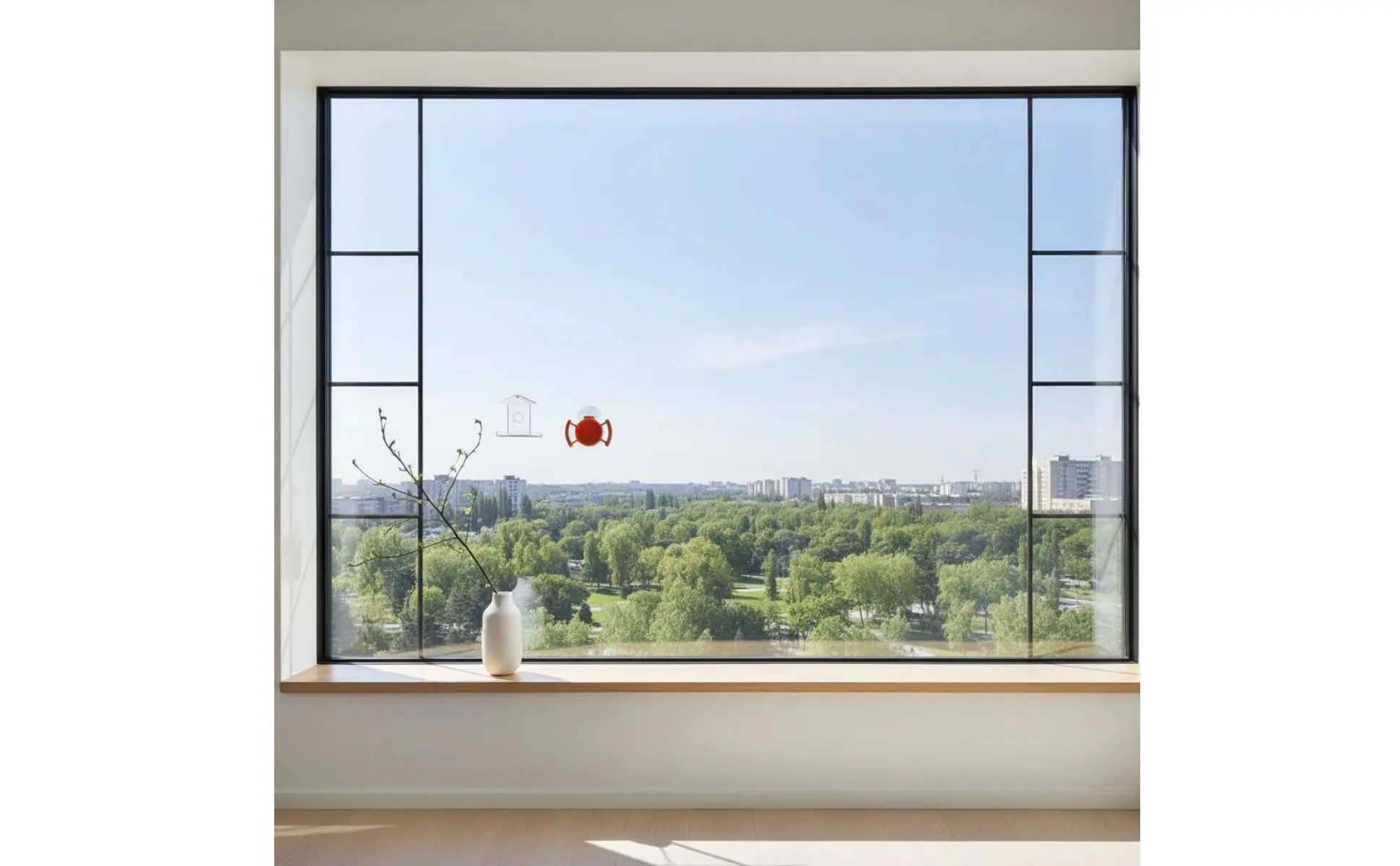 Plato para gelatina para montar en ventana, pensado para acercar a las aves