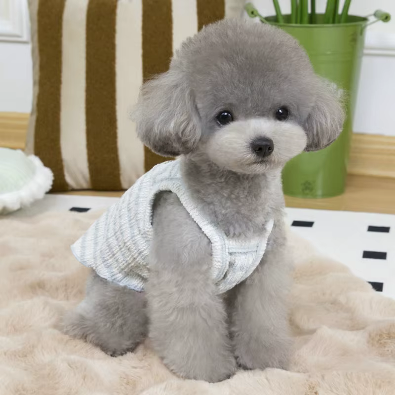 Chaleco bandolera de verano para perro y gato – Ropa fresca