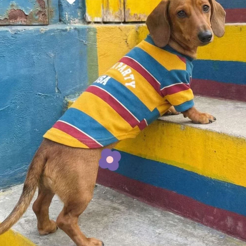 Guía de medición del pecho del perro