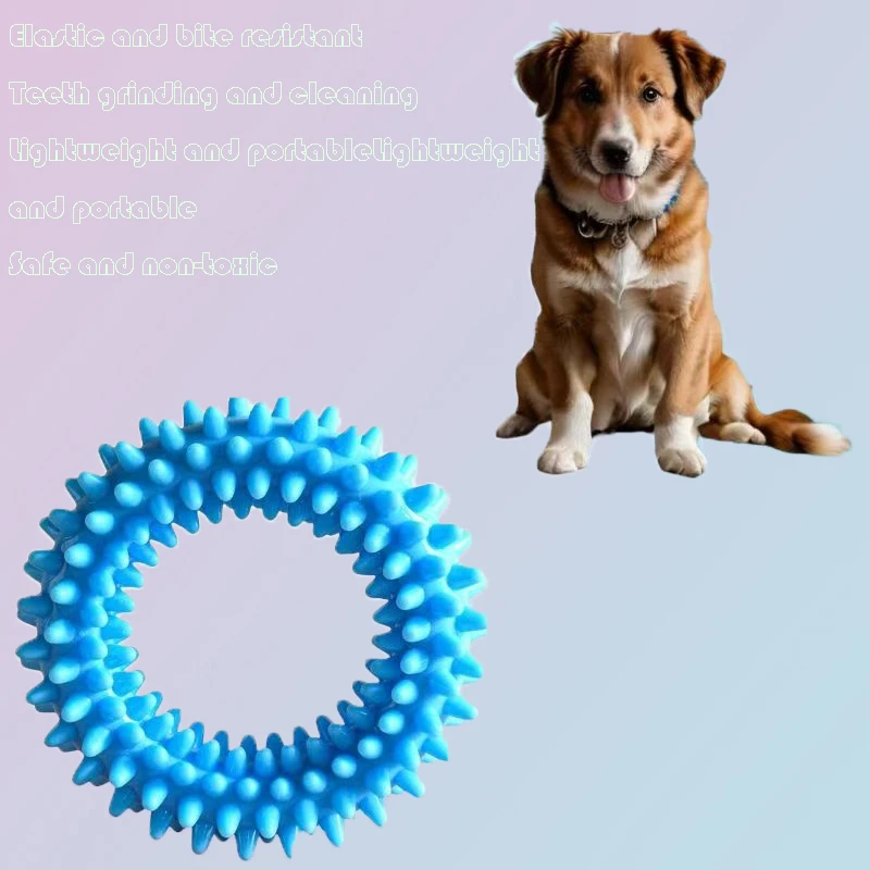 Anillo y pelota educativos para perros