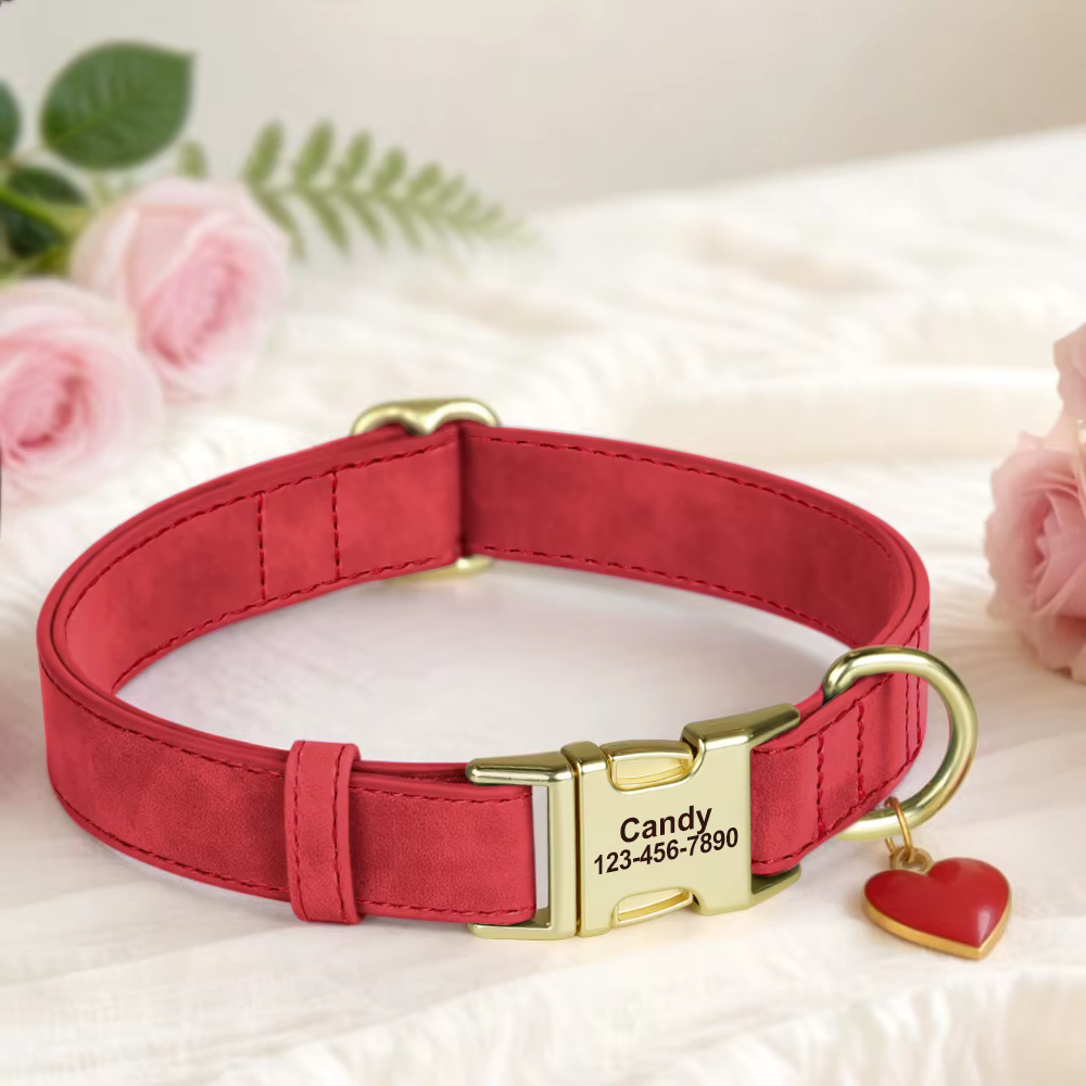 Collar en diferentes colores