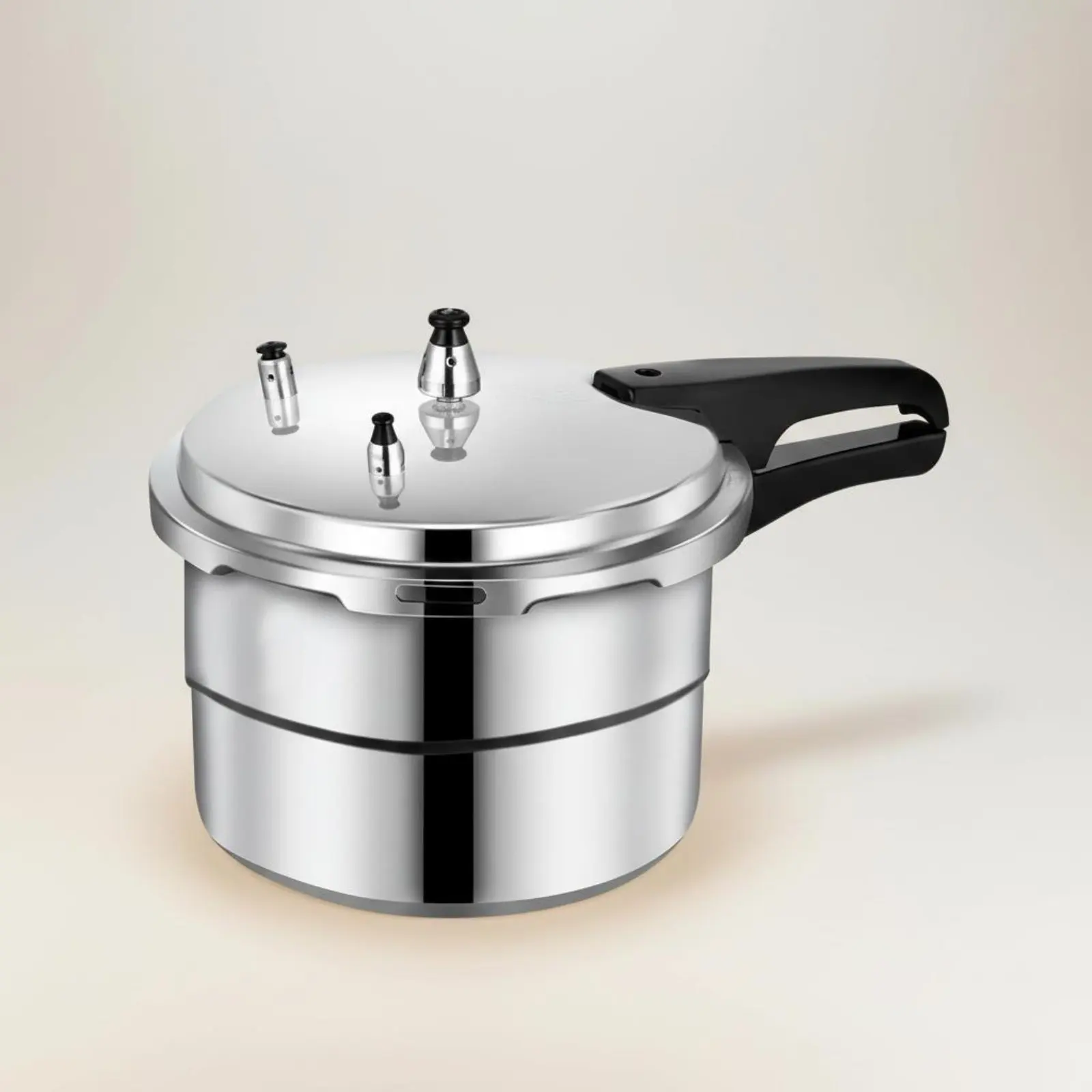 Olla a presión para preparar comida de gatos y perros, base reforzada - imagen 3