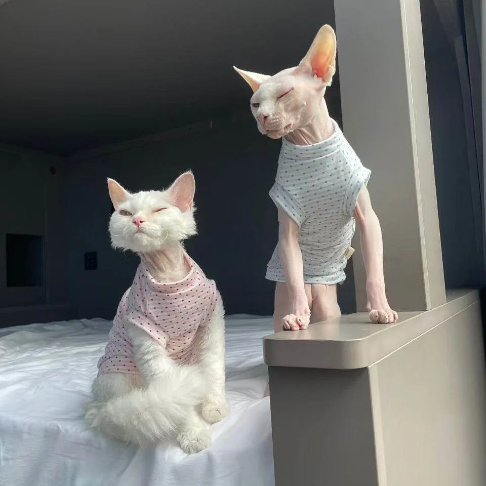 Chaleco verano transpirable con lunares para gatos Sphynx y Devon Rex - imagen 5