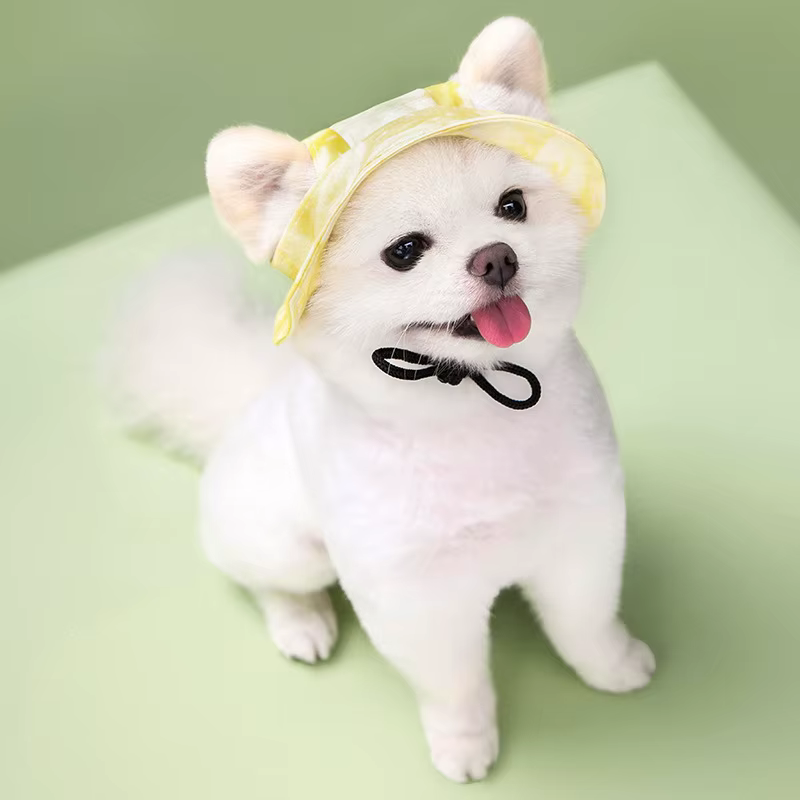 Gorra de béisbol ajustable para perro y gato con agujeros para orejas - imagen 5