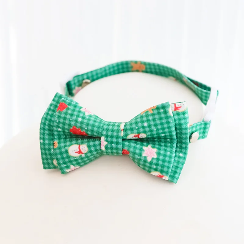 Mascota con collar decorativo