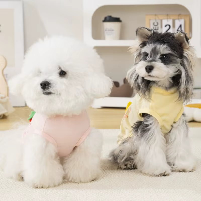 Chaleco de verano con estampado de frutas para perro y gato – Bichón