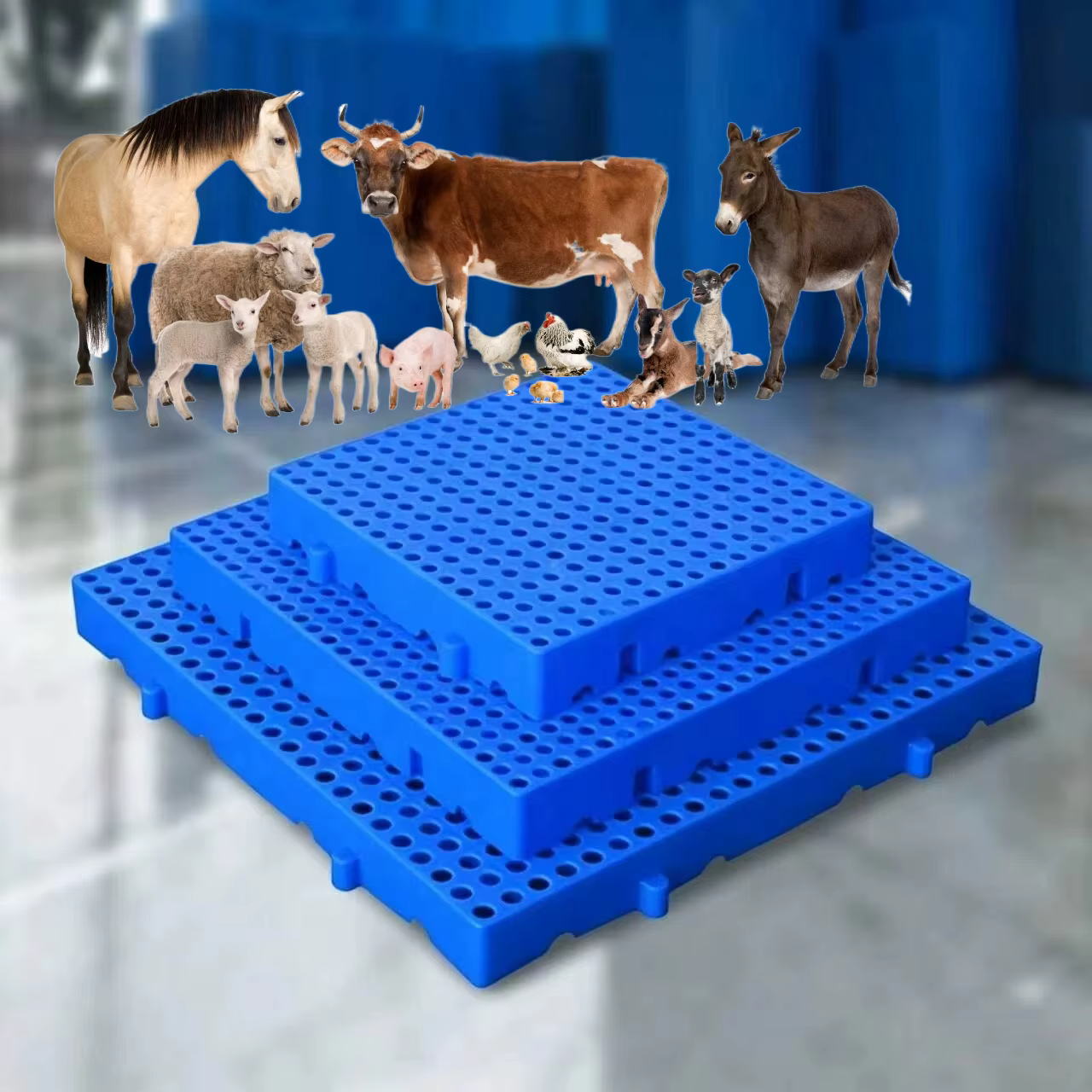 Suelo drenante de plástico para animales pequeños – Palet con listones 30x30 - imagen 4
