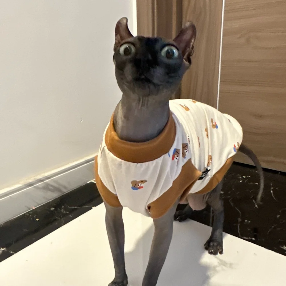 Camiseta Devon Rex diseño