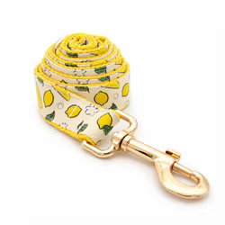 Collar personalizado para perro con estampado de fresa, limón y sandía
