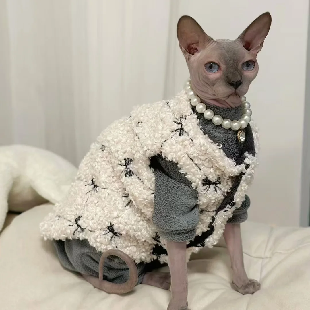 Gatito con chaqueta de chaleco y lazo