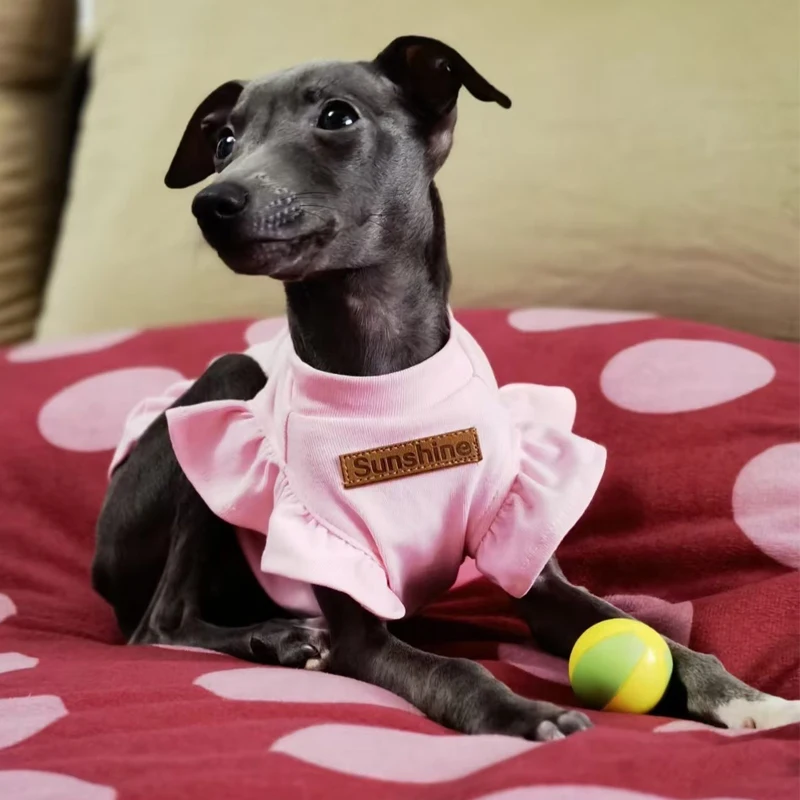 Prenda rosa Sweet Little Greyhound en perro pequeño